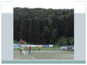 Hobby Turnier 2017